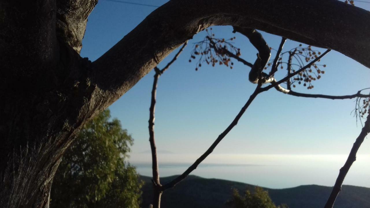 Katoikia Spathi Spathi  Buitenkant foto